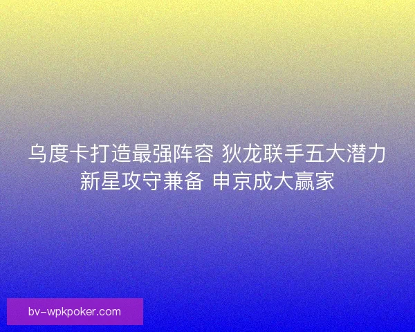 乌度卡打造最强阵容 狄龙联手五大潜力新星攻守兼备 申京成大赢家